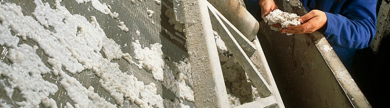 羧甲基纤维素钠|不同造纸工序|指标|要求|区别-鲁德化工